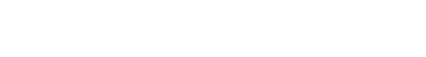 BRAVELOGIS